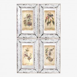 S/4 ANTIQUED BIRD PICTURE FRAME